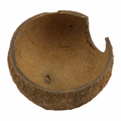 JBL Kokosnöt Halv (Large)