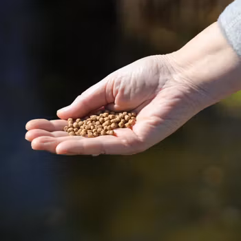 JBL ProPond Koi Staple+Silkworm 3 l/1 kg