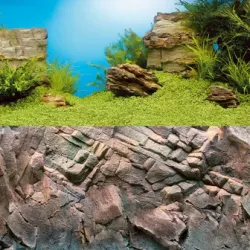 Juwel Poster 1 – Plant & Rock (150 x 60 cm)