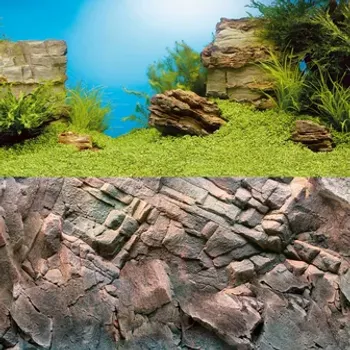 Juwel Poster 1 – Plant & Rock (150 x 60 cm)