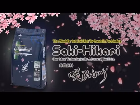 Hikari-Saki Colour Medium Floating 5 kg