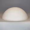 287 mm - Plafondglas matt opal (äldre)