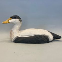 Träfågel: Ejder
