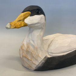 Träfågel: Ejder
