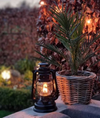 Feuerhand svart fotogenlampa stormlykta stallykta