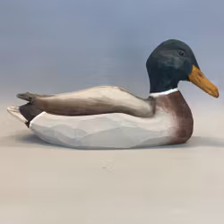 Träfågel: Gräsand hane