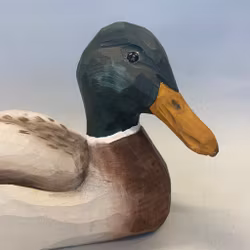Träfågel: Gräsand hane