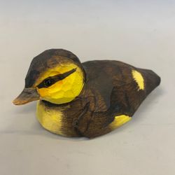 Träfågel: Gräsand unge