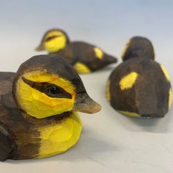 Träfågel: Gräsand unge