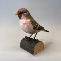 Träfågel: gråsiska