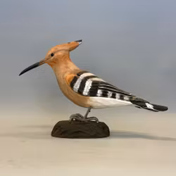Träfågel: Härfågel