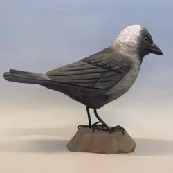 Träfågel: Kaja