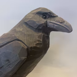 Träfågel: Korp