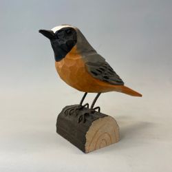 Träfågel: rödstjärt