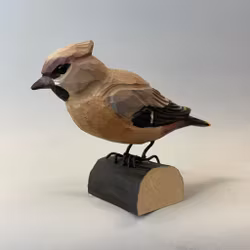 Träfågel: sidensvans