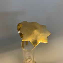 Sotskydd stjärna mini för fotogenlampa Ø 40 mm