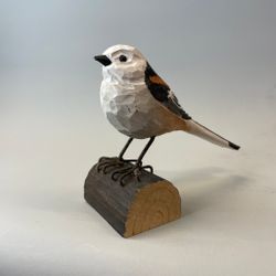 Träfågel: stjärtmes