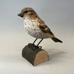 Träfågel: tallsiska