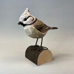 Träfågel: tofsmes