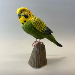 Träfågel: undulat