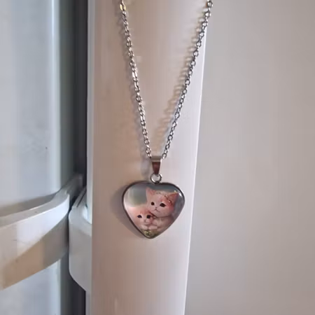 Halsband kattungar