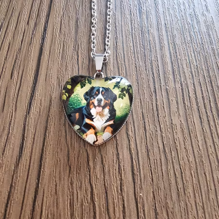 Halsband hund
