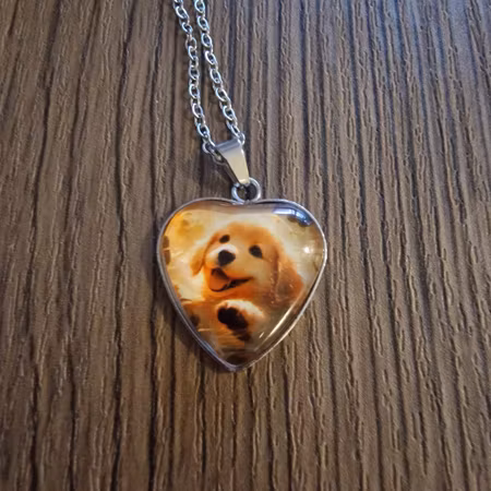 Halsband hundhjärta