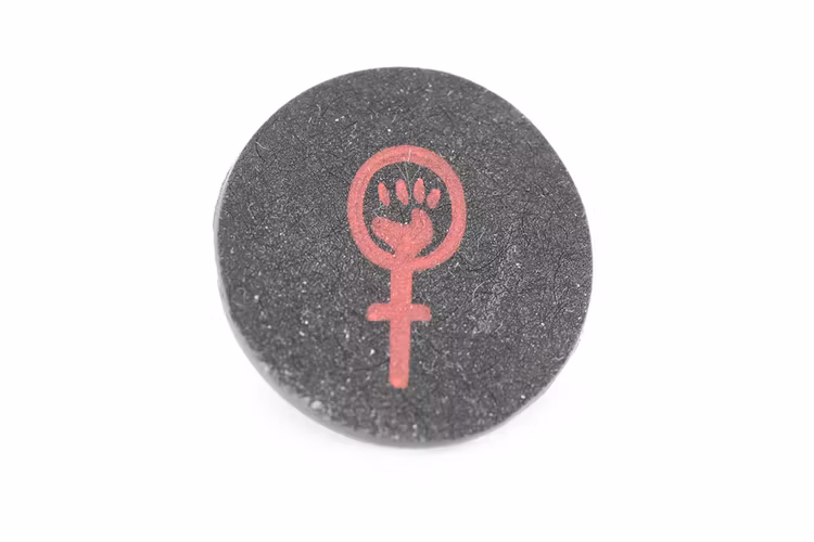 Feminist, örstickare