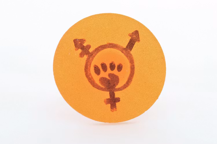Trans, ring