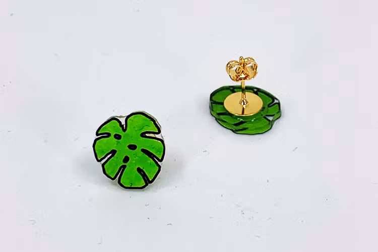 Monstera, örstickare