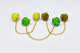 Monstera, kragbrosch