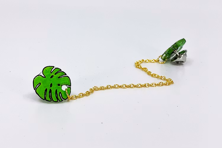 Monstera, kragbrosch
