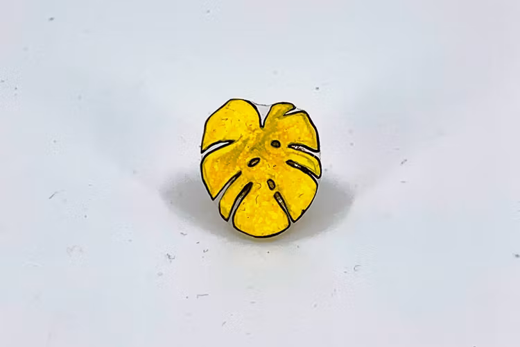 Monstera, brosch