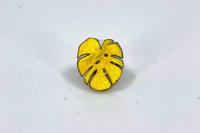 Monstera, brosch