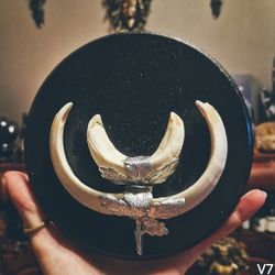 Kraftsymbol Med Vildsvinständer