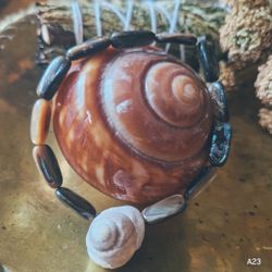 Kraftarmband Vatten - Snäcka & Abalone