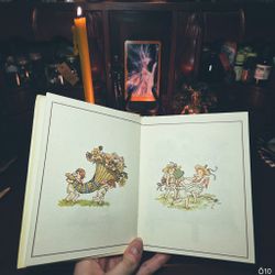 Bok "Blommornas Språk"