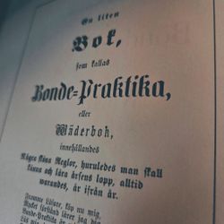 Bonde-Praktikan
