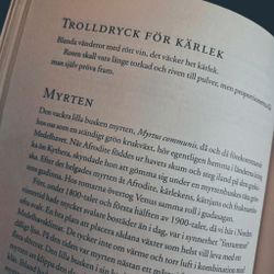 Bok "Kärlekens Huskurer - örter och kryddor som väcker lust och lycka"