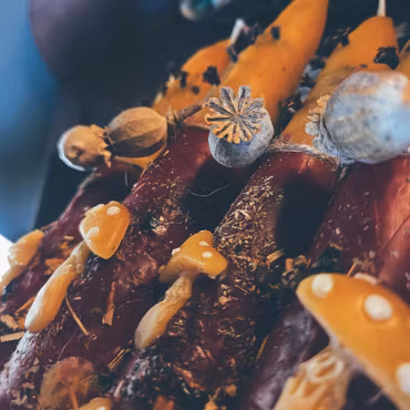 Amanita Muscaria Ritualljus