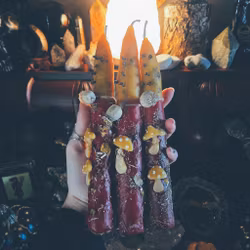 Amanita Muscaria Ritualljus