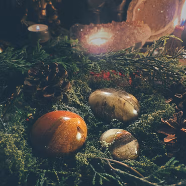 Förstenat Trä Handsten