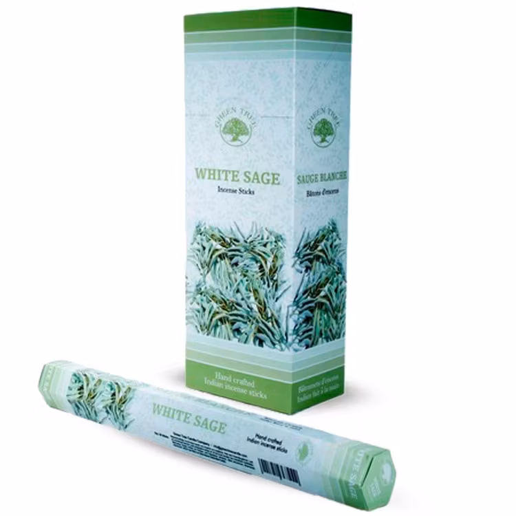 Hvid Salvie, Salvia røgelse, Green Tree