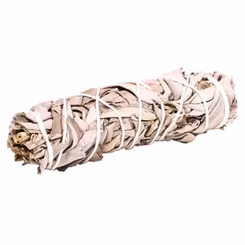 Hvid Salvie (Salvia), Røgelsessnors S