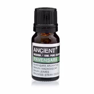 Ravensara Eterisk Olie 10ml, Ancient Wisdom