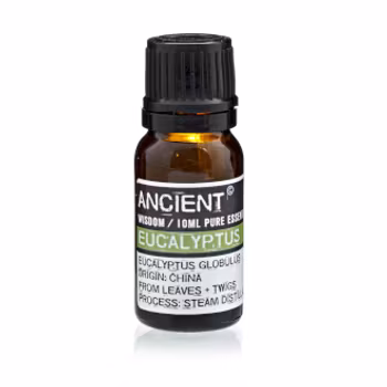 Eukalyptus Eterisk Olie 10ml, Ancient Wisdom