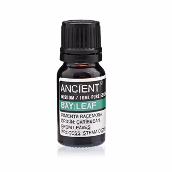 Lagerblad, Laurus nobilis, Eterisk olie 10ml, Ancient Wisdom