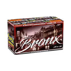 Bronx