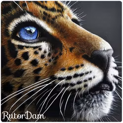 Tiger 4, 40x40 cm