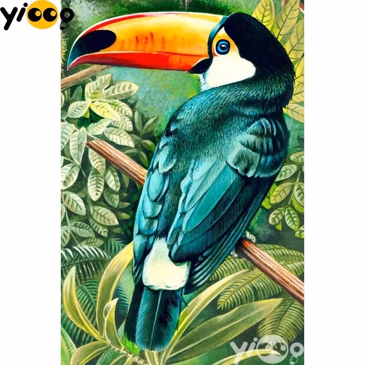 Tukan 1, 40x60 cm